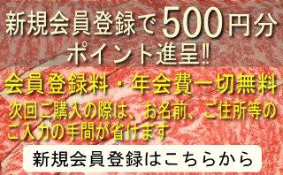 �V�K����o�^